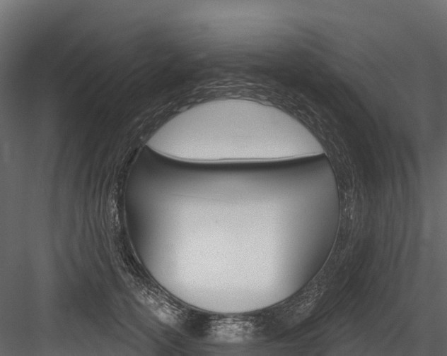 X0000084560754200702231001