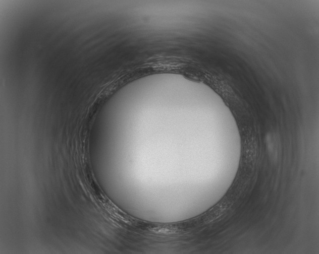 X0000084560755200702231001