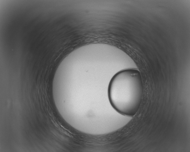 X0000084560756200702231001