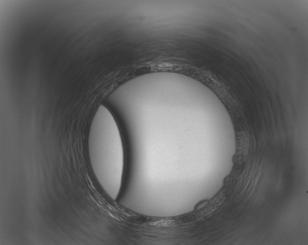 X0000084560761200702231001