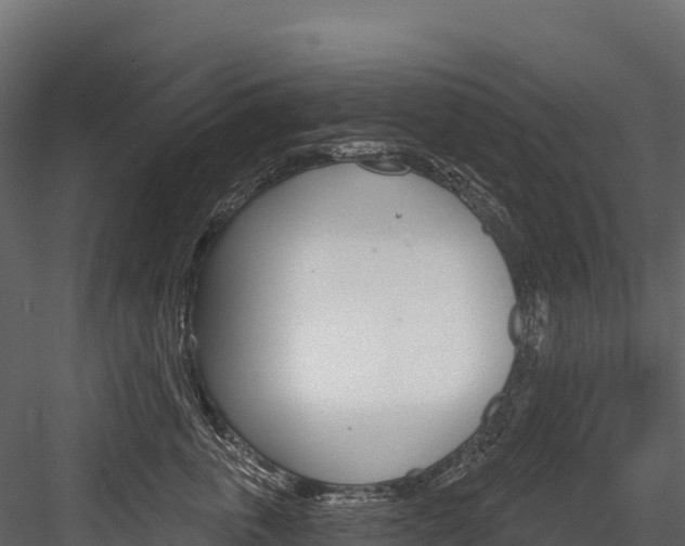 X0000084560763200702231001