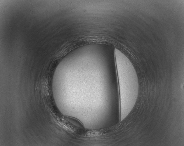 X0000084560764200702231001