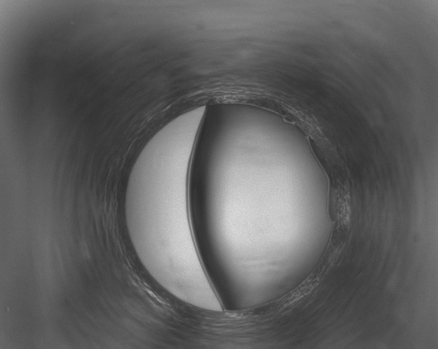 X0000084560766200702231001