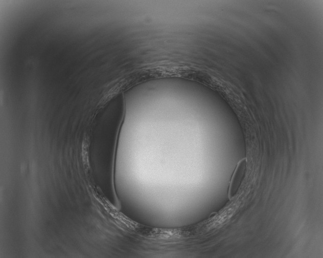 X0000084560768200702231001