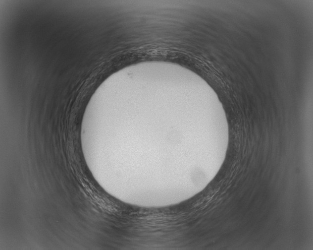 X0000084560769200702231001