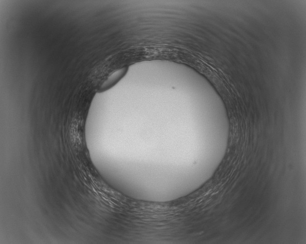 X0000084560770200702231001