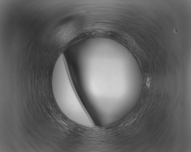 X0000084560771200702231000