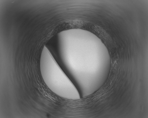 X0000084560772200702231000