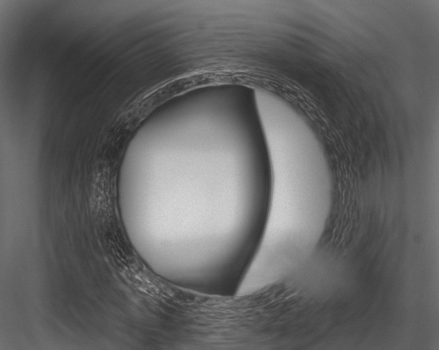X0000084560773200702231000