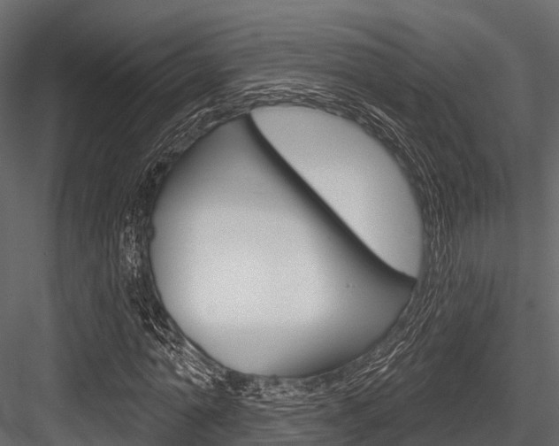 X0000084560774200702231000