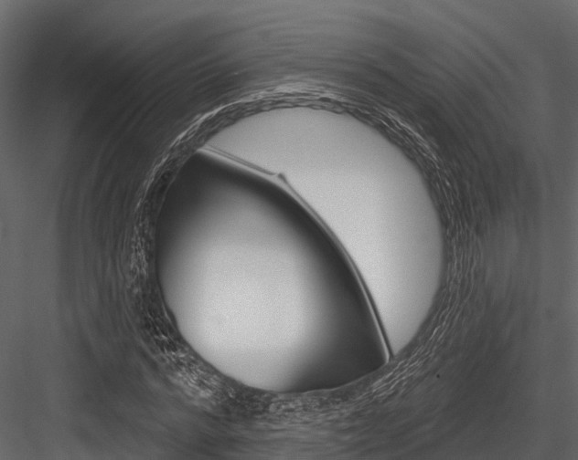 X0000084560776200702231000