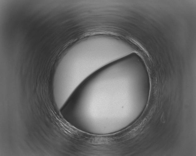 X0000084560777200702231000