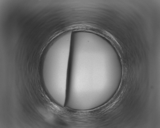 X0000084560778200702231000
