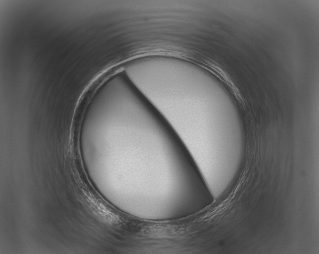 X0000084560780200702231000