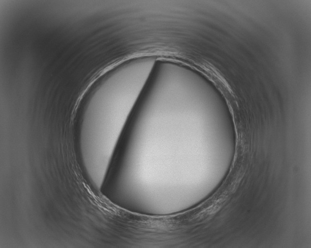 X0000084560781200702231000