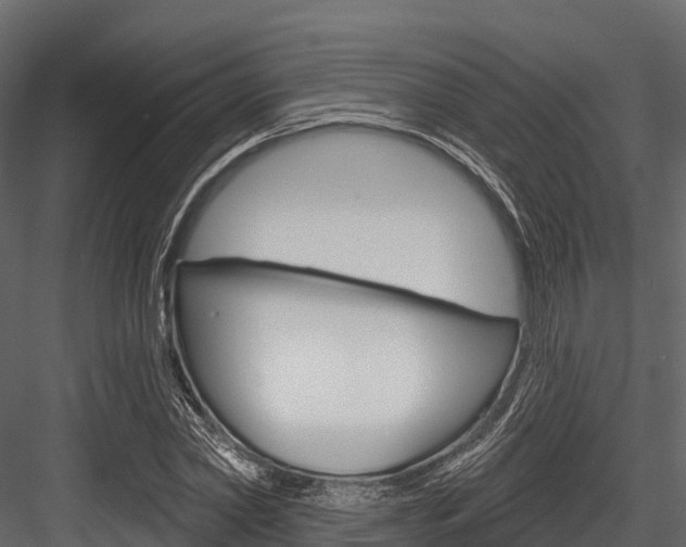 X0000084560782200702231000