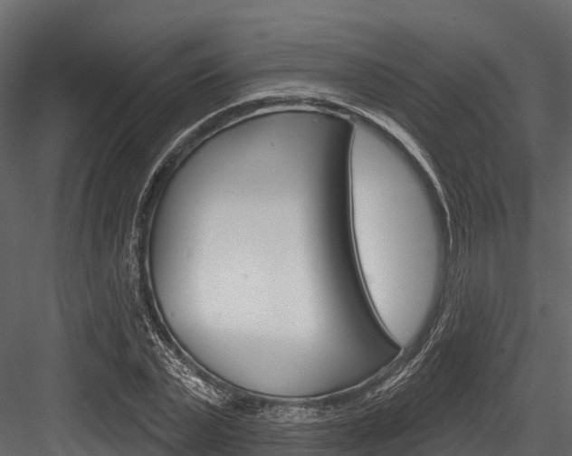X0000084560783200702231000