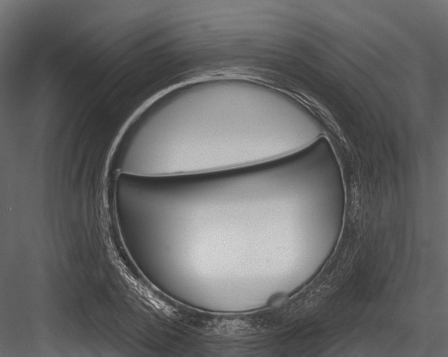 X0000084560784200702231000