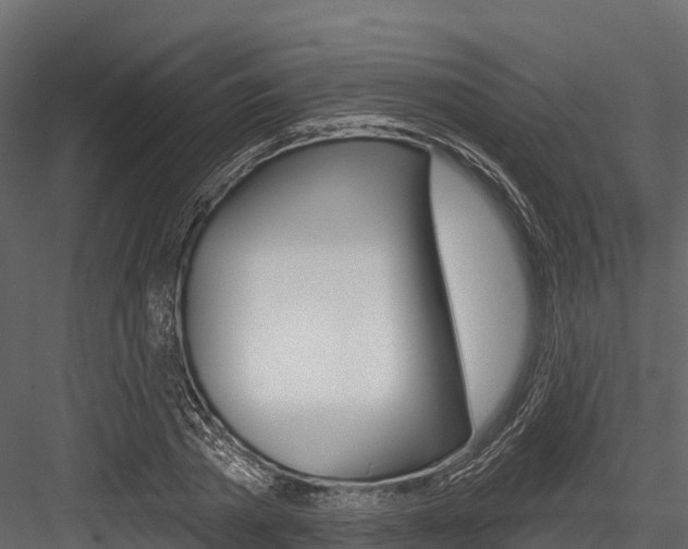 X0000084560785200702231000