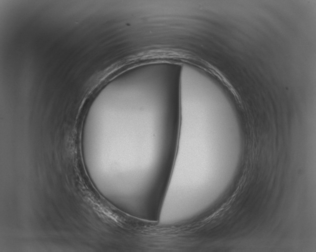 X0000084560786200702231000