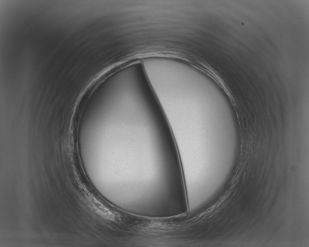 X0000084560787200702231000