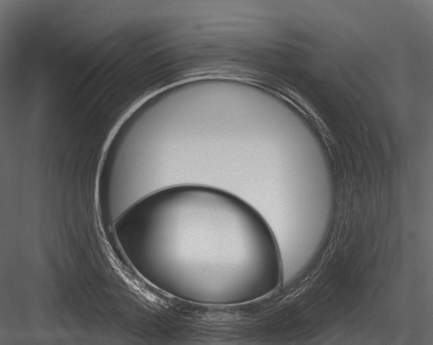 X0000084560788200702231000