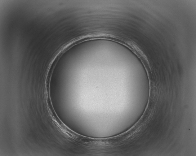 X0000084560789200702231000