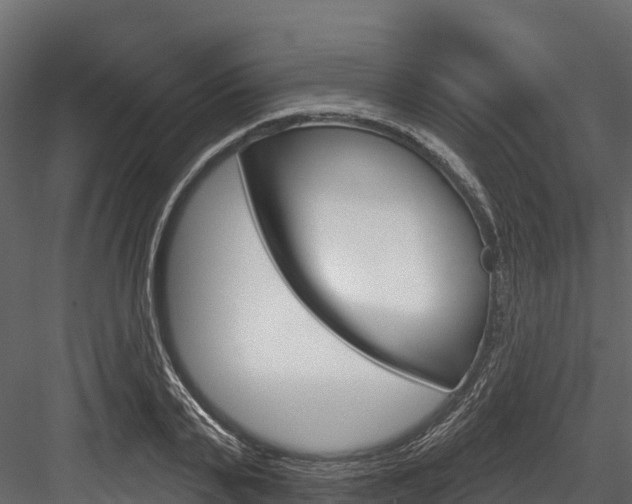 X0000084560791200702231000
