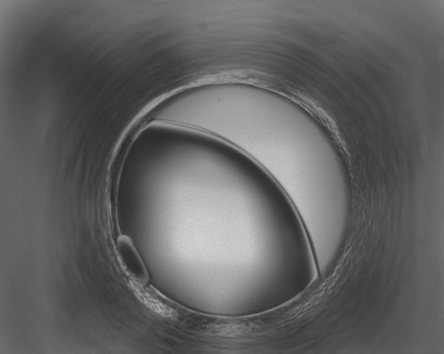 X0000084560792200702231000