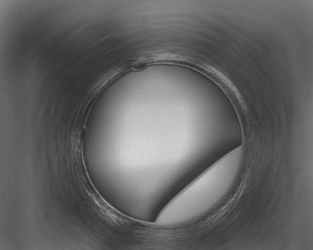 X0000084560793200702231000