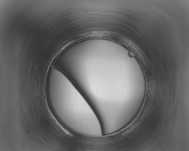 X0000084560794200702231000