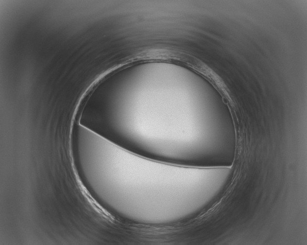 X0000084560795200702231000