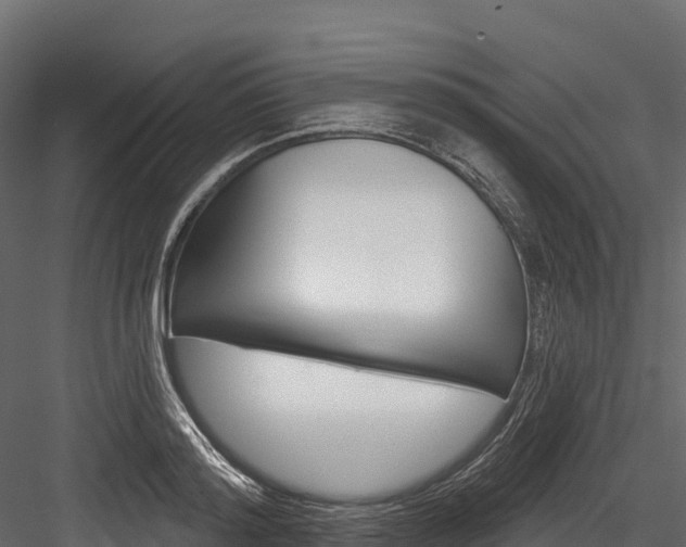 X0000084560796200702231000