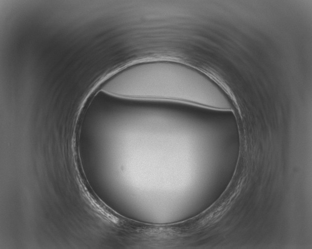 X0000084560797200702231000