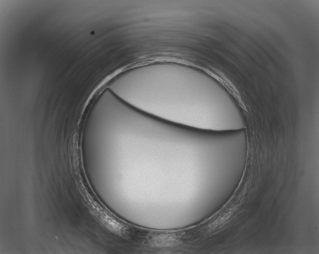 X0000084560798200702231000