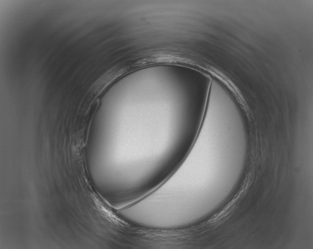 X0000084560801200702231000