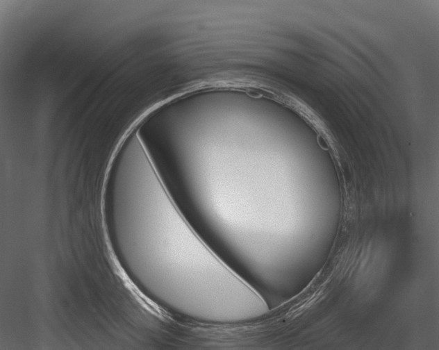 X0000084560803200702231000