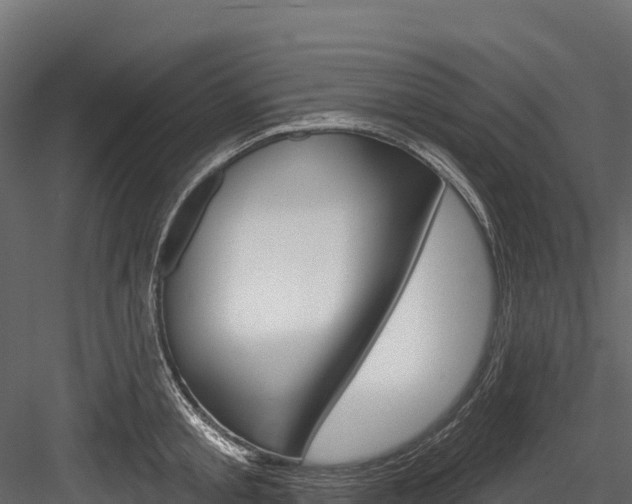X0000084560805200702231000