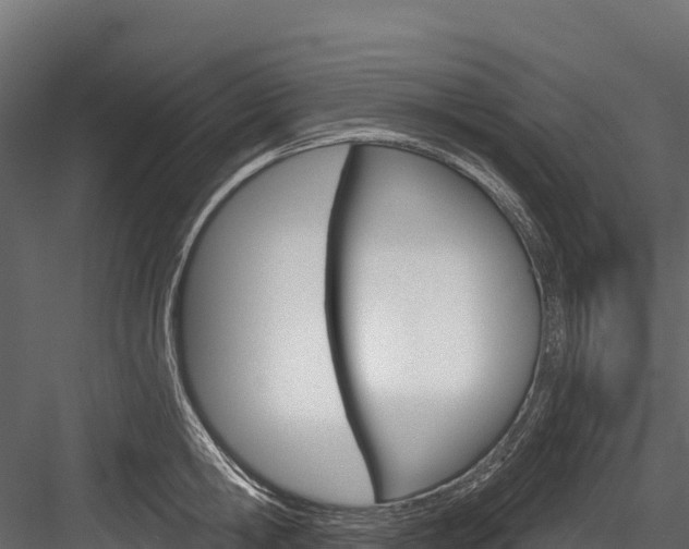 X0000084560806200702231000
