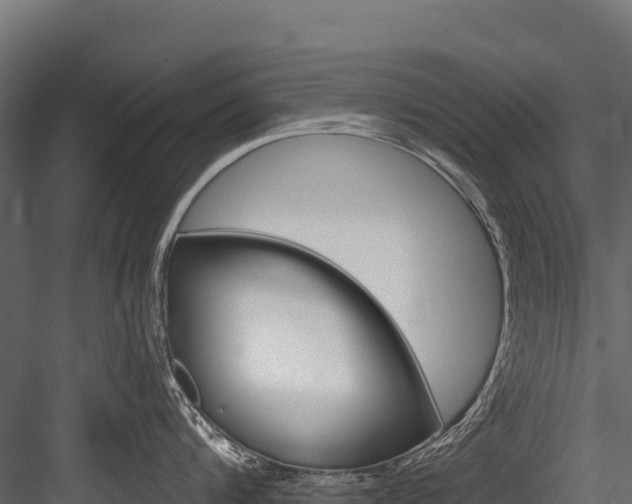X0000084560816200702231000