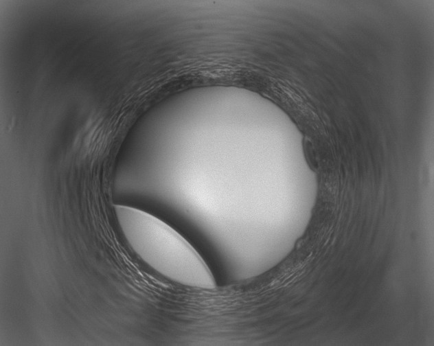 X0000084560817200702230959