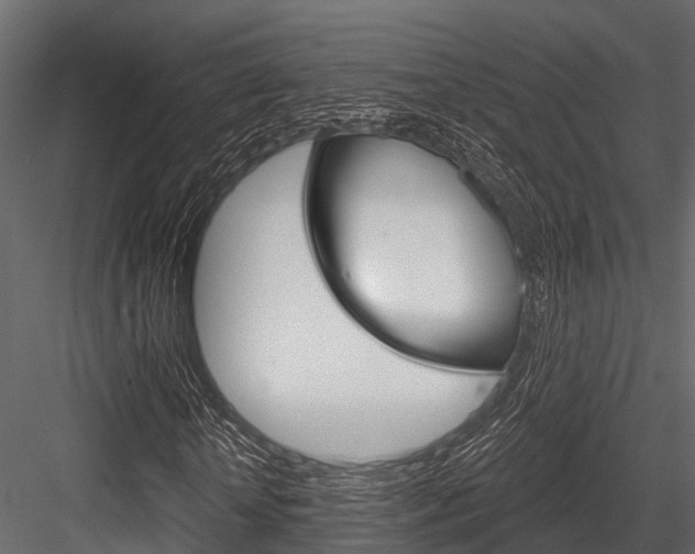 X0000084560818200702230959