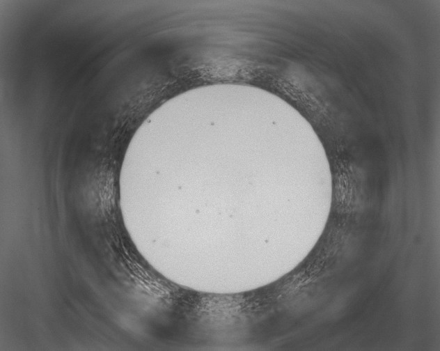 X0000084560820200702230959