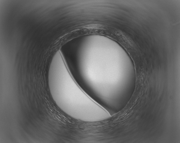 X0000084560821200702230959