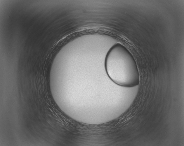 X0000084560822200702230959