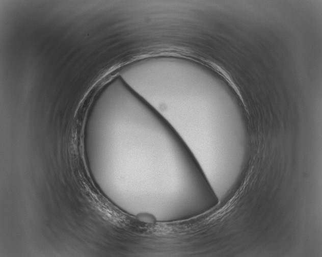 X0000084560827200702230959