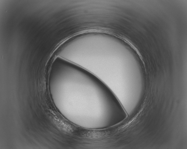 X0000084560829200702230959