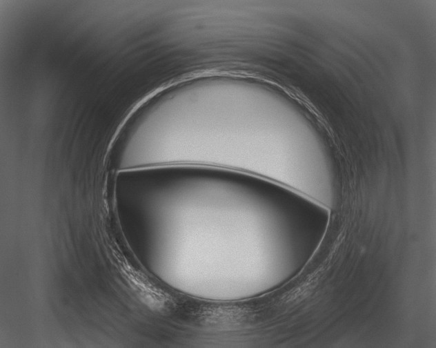 X0000084560830200702230959