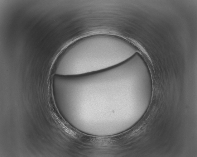 X0000084560831200702230959