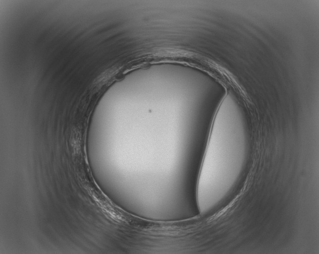 X0000084560833200702230959